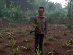 Kolaborasi Jelajah Bumi Nusantara dengan PT Simar Alam Berkah Lestarikan Fungsi Lingkungan Hidup