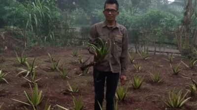 Kolaborasi Jelajah Bumi Nusantara dengan PT Simar Alam Berkah Lestarikan Fungsi Lingkungan Hidup