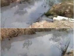 Diduga IPAL PT Bakung Lestari Bocor, Cemari Sungai Warga Setempat Diduga IPAL PT Bakung Lestari Bocor, Cemari Sungai Warga Setempat