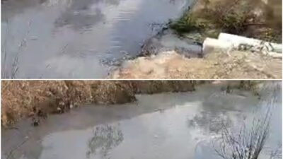 Diduga IPAL PT Bakung Lestari Bocor, Cemari Sungai Warga Setempat