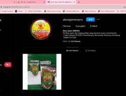 Mahasiswa KKN Tematik Undip Berikan Pelatihan Pengelolaan Media Sosial sebagai Upaya Digitalisasi UMKM di Desa Klareyan Mahasiswa KKN Tematik Undip Berikan Pelatihan Pengelolaan Media Sosial sebagai Upaya Digitalisasi UMKM di Desa Klareyan
