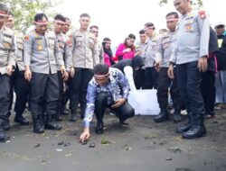 Aksi Bersama Lestari Keanekaragaman Hayati, Pertamina Patra Niaga Regional Papua Maluku Bersama Kapolda Maluku Utara Lepas Tukik di Pantai Kastela Aksi Bersama Lestari Keanekaragaman Hayati, Pertamina Patra Niaga Regional Papua Maluku Bersama Kapolda Maluku Utara Lepas Tukik di Pantai Kastela