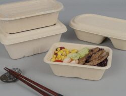 Styrofoam Sebabkan Kanker, Ini Penggantinya yang Ramah Lingkungan Styrofoam Sebabkan Kanker, Ini Penggantinya yang Ramah Lingkungan
