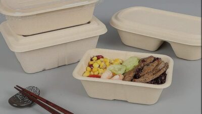 Styrofoam Sebabkan Kanker, Ini Penggantinya yang Ramah Lingkungan