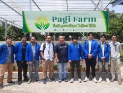 UPER Hadirkan Urban Farming yang Ramah Lingkungan, Tanam Harapan di Tengah Beton