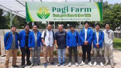 UPER Hadirkan Urban Farming yang Ramah Lingkungan, Tanam Harapan di Tengah Beton