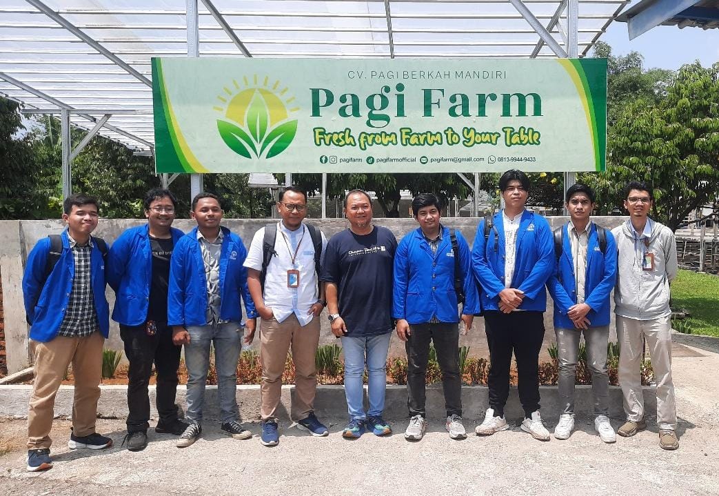 UPER Hadirkan Urban Farming yang Ramah Lingkungan, Tanam Harapan di Tengah Beton